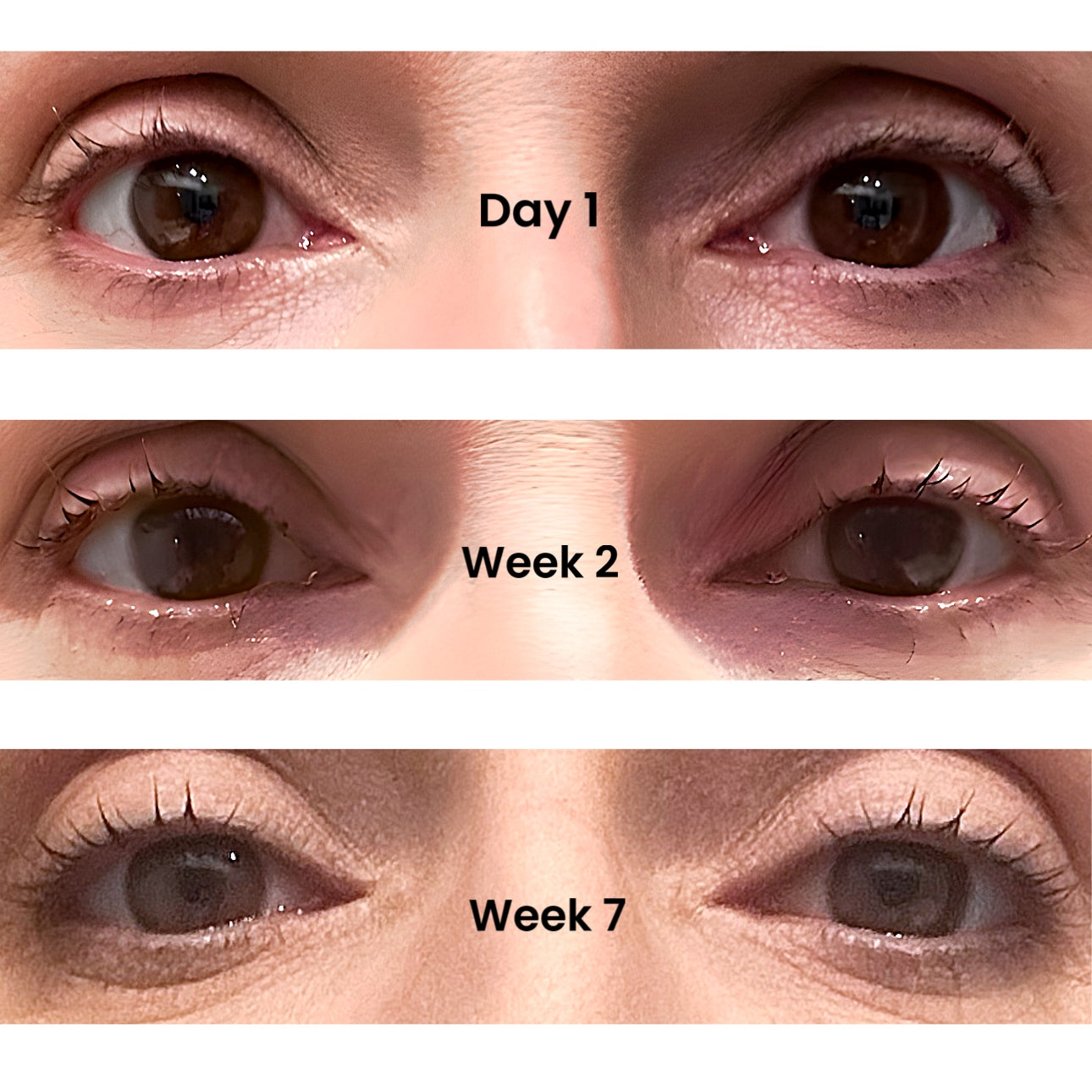 results from day 1 to week 7 using brow and lash serum twice daily