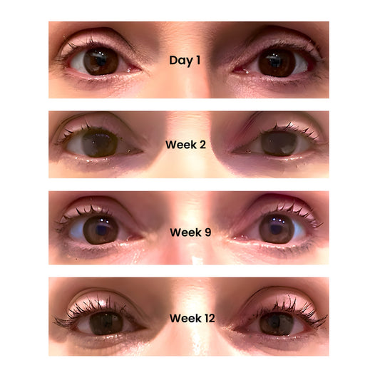 brow and lash serum results after being used twice daily for  12 weeks