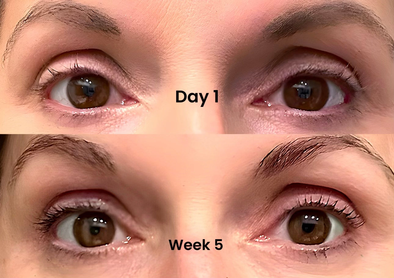 Day 1 to week 5 update using brow and lash serum twice daily